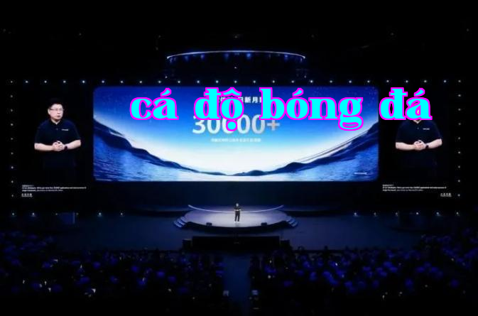 Hình chụp WeChat_20250701163334.png