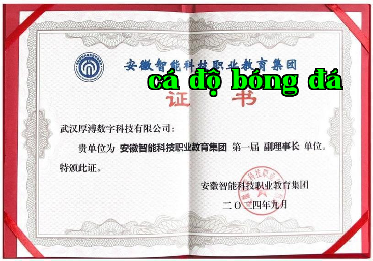 Hình chụp WeChat_20240912084433.png