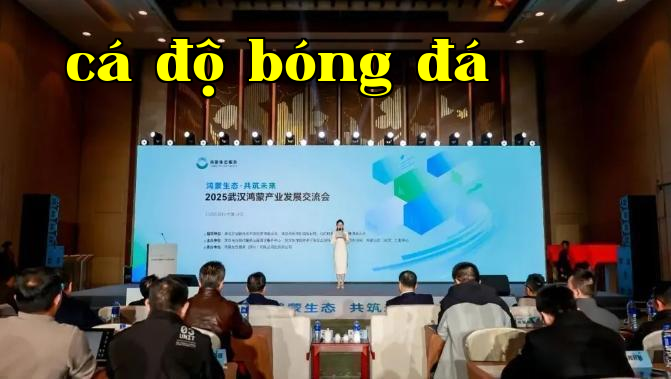 Hình ảnh WeChat_20250416092356.png