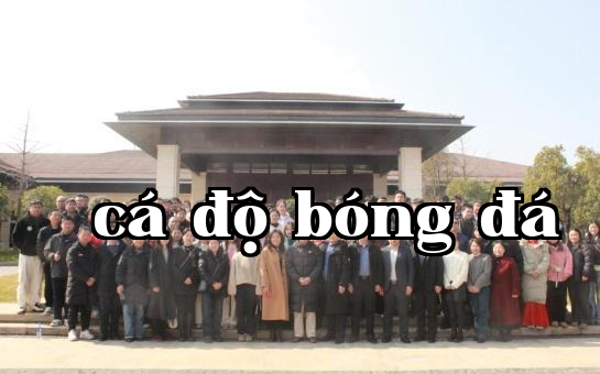 20.png