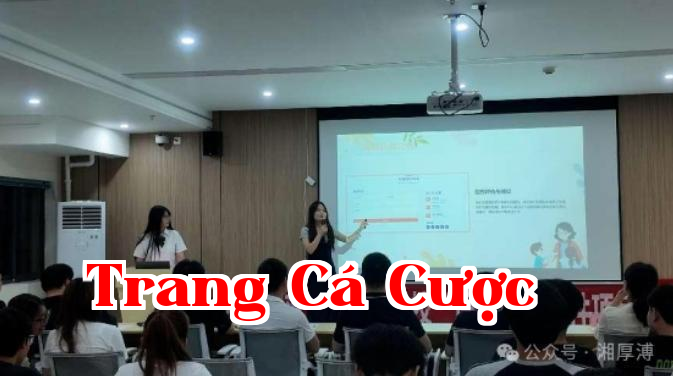 Hình ảnh WeChat_20250701155051.png